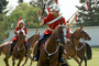 Cpl Roberts exiting the Maze at a canter